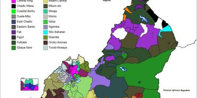 خريطة الكاميرون اللغة